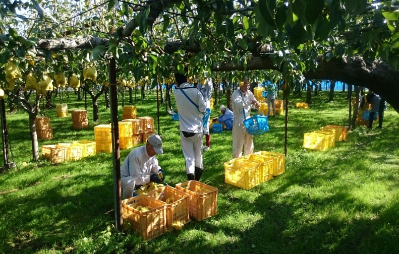 生産・製造工程アピールポイント