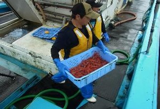生産・製造工程アピールポイント