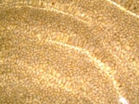 生産・製造工程アピールポイント