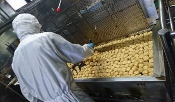 生産・製造工程アピールポイント