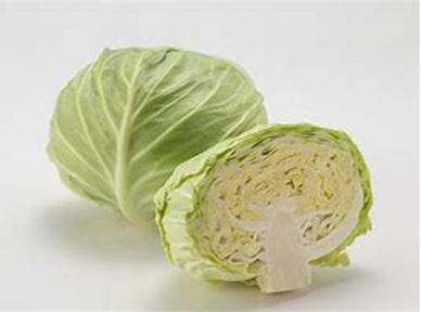 生産・製造工程アピールポイント