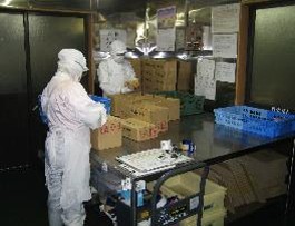 生産・製造工程アピールポイント