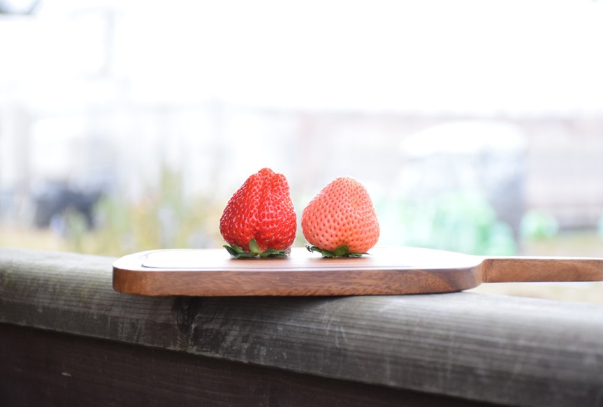 生産・製造工程アピールポイント