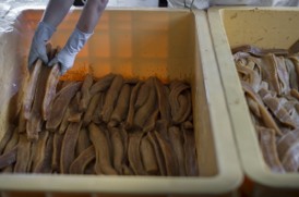 生産・製造工程アピールポイント