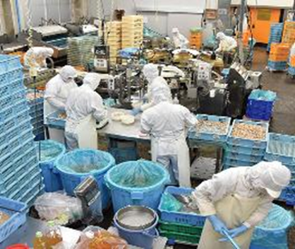 生産者のイメージ画像
