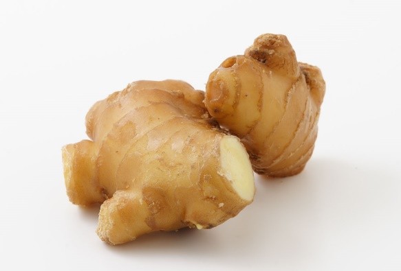 生産・製造工程アピールポイント