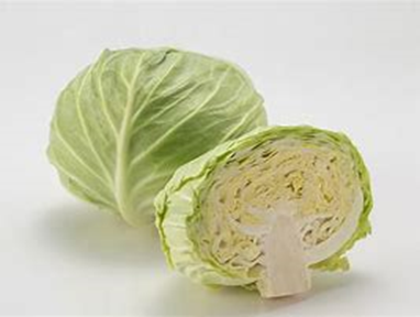 生産・製造工程アピールポイント