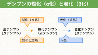 生産・製造工程アピールポイント