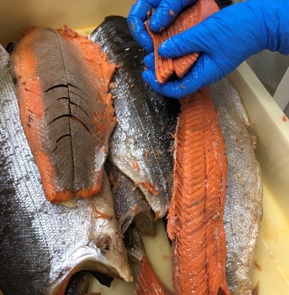 生産・製造工程アピールポイント