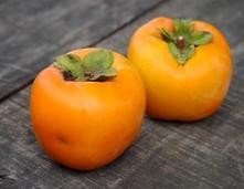 生産・製造工程アピールポイント