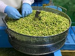 生産・製造工程アピールポイント