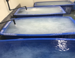生産・製造工程アピールポイント