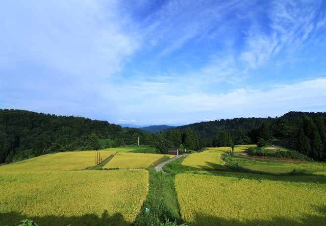 生産・製造工程アピールポイント